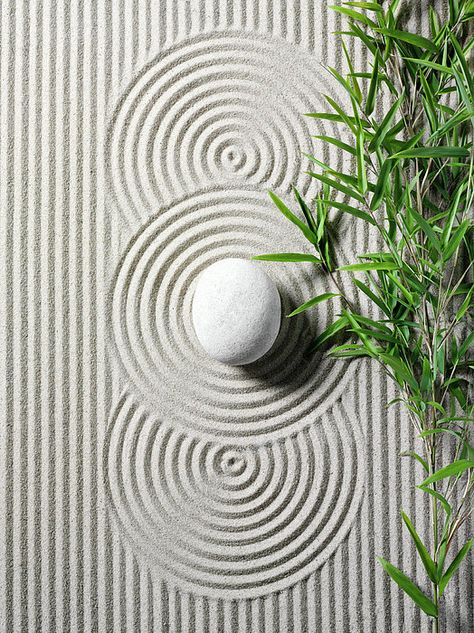 Jardin Zen Interior, Feng Shui Dicas, Zen Aesthetic, Japanese Rock Garden, Ashley Green, Funny Vine, Tattoo Plant, Mini Zen Garden, Japanese Zen Garden