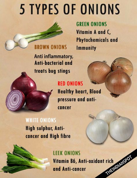 ONION BENEFITS Onion Benefits, Onion Benefits Health, Types Of Onions, Tomato Nutrition, Calendula Benefits, Matcha Benefits, Lemon Benefits, Coconut Health Benefits, Resep Diet