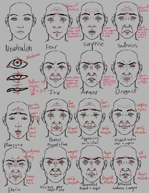 Facial Expressions Drawing, Emotion Faces, Drawing Face Expressions, Face Drawing Reference, Drawing Expressions, 캐릭터 드로잉, Anatomy Drawing, Poses References, Figure Drawing Reference