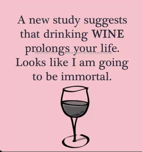 Wine Memes, Wine Jokes, Whiskey Quotes, Auntie Quotes, Funny Drinking Quotes, Wine Meme, Wine Glass Sayings, Funny Women Quotes, Wine Sayings