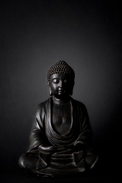 Buddha Wallpaper Backgrounds, Buddha Image Wallpaper, Buddha Image Wallpaper Hd, Wallpaper Buddha, Single Main Door Designs, Buddha Wallpaper Iphone, Buddha Wallpaper, Black Buddha, Buddha Quotes Life