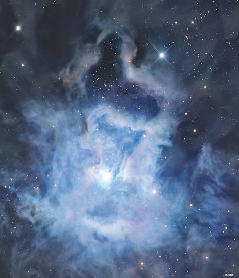 The Iris Nebula (NGC 7023) Mauna Kea - Hawaii with the Canada-France-Hawaii Telescope Nebulae Aesthetic, Nebulas, Iris Nebula, Nebula Aesthetic, Cosmos Aesthetic, Blue Nebula, Multiverse Aesthetic, Astronomy Blue Aesthetic, Astronomy Aesthetic Purple