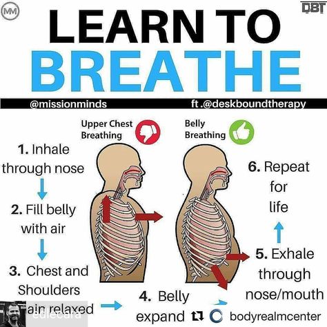 Clear Lungs, Strengthening Yoga, Belly Breathing, Yoga Breathing, Breathing Meditation, Lungs Health, Parasympathetic Nervous System, Deep Breathing Exercises, Singing Tips