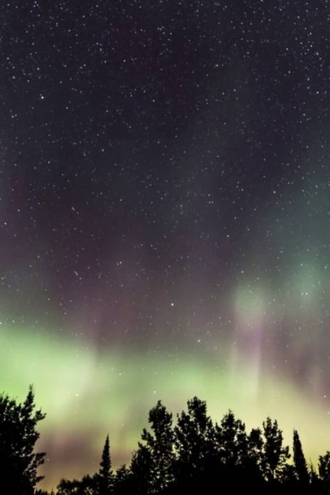 Northern Lights Minnesota, Clear Night Sky, Northern Minnesota, Winter 22, Arctic Circle, The Northern Lights, Face To Face, Dark Skies, The Night Sky