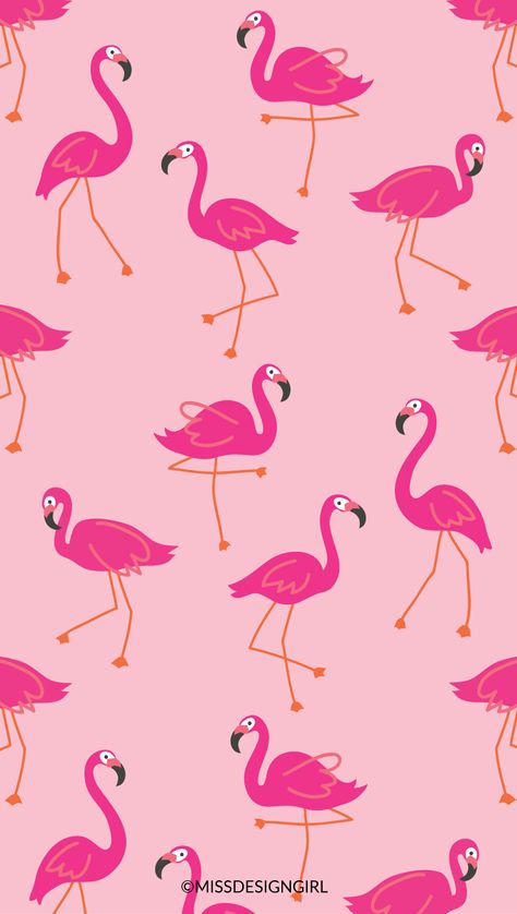 Pink Flamingo Wallpaper, Flamingo Wallpaper, Full Hd 4k, Christmas Aesthetic Wallpaper, Flamingo Art, Iphone Wallpaper Pattern, Preppy Wallpaper, Trendy Wallpaper, Pink Wallpaper Iphone