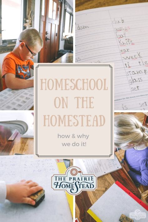 Homeschool on the Homestead: how and why we do it! #homeschool #homesteadhomeschool #countrykids The Prairie Homestead, Prairie Homestead, Farm Kids, Country Kids, Free Homeschool, The Homestead, Homeschool Organization, School Room, Educational Printables