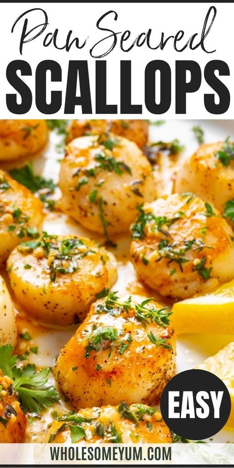 Learn how to sear scallops in just 10 minutes! This EASY pan fried sea scallops recipe has a perfect golden crust and savory garlic butter sauce. #wholesomeyum Sea Scallops Recipes, Sauteed Scallops Recipes, Saute Scallops Recipe, Healthy Scallops Recipes, Scalope Recipes, Frozen Scallops Recipe, Baby Scallops Recipe, Scallop Stir Fry Recipes, How To Fry Scallops