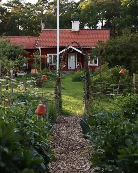 Nordic Vintage Interior, Swedish Cottage Interior Nordic Style, Scandi Lifestyle, North Sweden, Norwegian Cottage, Nottinghamshire England, Rural Cottage, Swedish Homes, Swedish Farmhouse