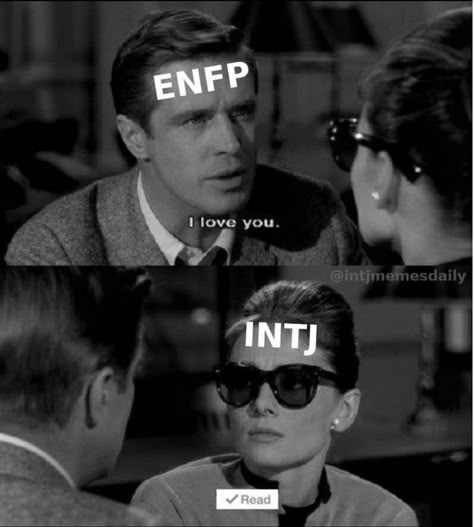 Enfp Intj, Mbti Enfp, Introvert Vs Extrovert, Intj Characters, Intj Humor, Intj Enfp, Intj Women, Mbti Type, Intj T