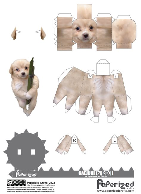 #gaejook #goldenretriever #edit #Gaejook(개죽이) Gaejook Dog, Dog Paper Craft, Super Funny Pictures, 3d Dog, Doll Template, Paper Toys Template, Post Animal, Brush Drawing, Paper Doll Template