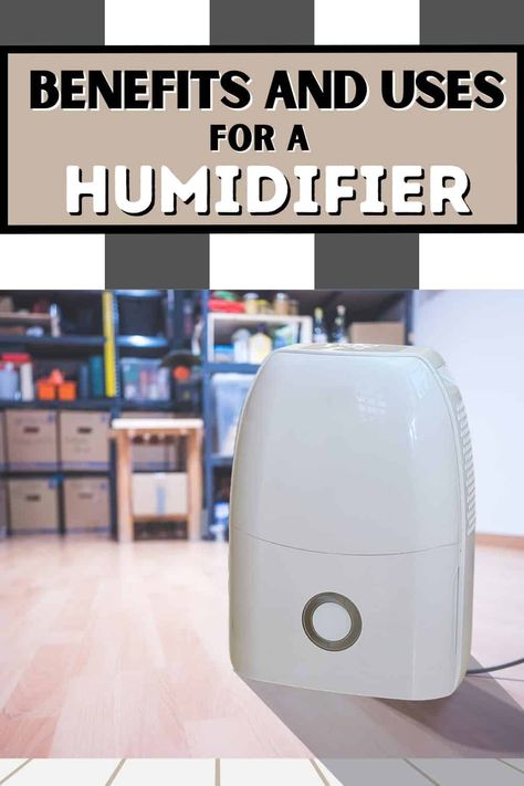 The benefits of a dehumidifier go beyond its ability to remove excessive moisture from the air in your home These versatile appliances offer users a myriad of benefits and practical uses that can positively impact their daily life.... . #dehumidifier #humidity #homedecor #homesweethome #freshair #airquality #smell #smelly #scent #odor #odorless #aroma #smellgood #fresh #clean Dehumidifiers, Home Repair, Smell Good, Better Life, Daily Life, How To Use, Benefits, Repair, Home Repairs