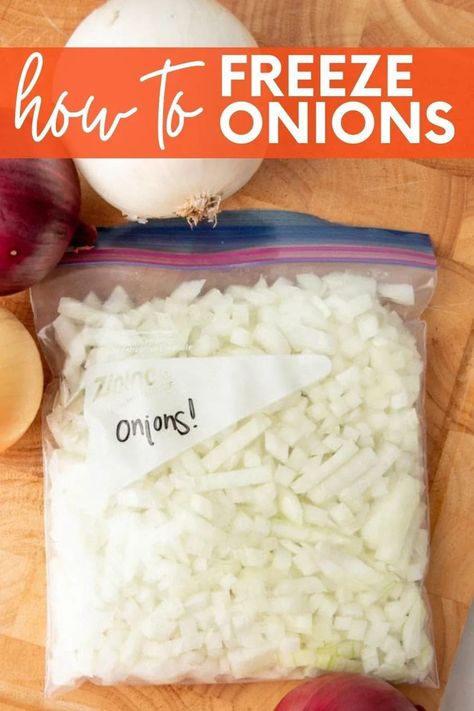 Freezing takes a lot of the annoyance of fresh onions out of the equation. They’re easy to store, make prep a breeze, and you’ll never have to worry about them going bad. Freeze Onions, Freezing Onions, Freezing Food Guide, Storing Onions, Freezing Vegetables, Freezer Meal Prep, Frozen Veggies, Food Saver, Onion Recipes