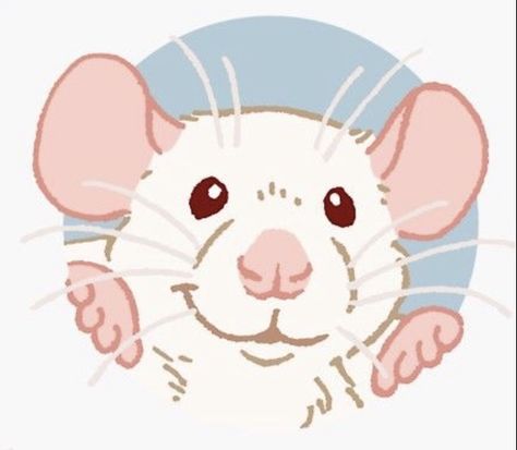 Fancy Rats, Rats, For Sale