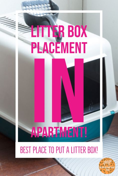 Hideaway Litter Box Diy, Cat Litter Box Small Spaces, Where To Keep Litter Box Ideas, Small Bathroom Litter Box Ideas, Places To Put Litter Boxes, Where To Place Cat Litter, Liter Box Small Apartment, Where To Put Litter Box In Small House, Litter Box Small Space