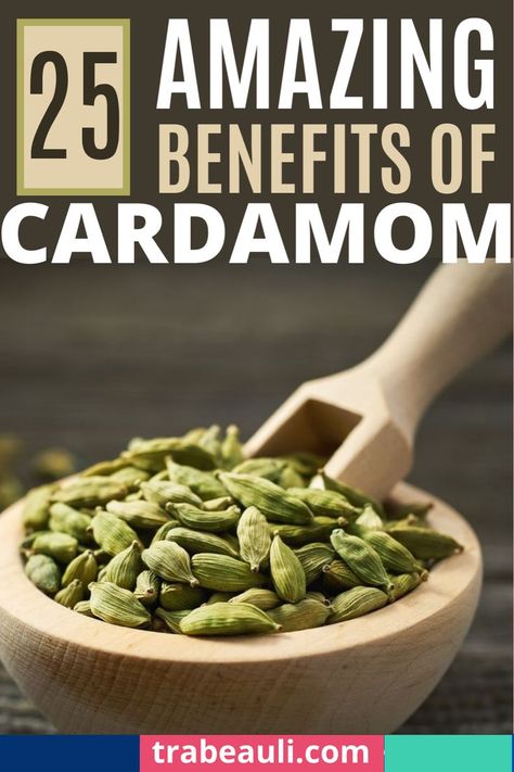 health benefits Benefits Of Cardamom, Cardamom Benefits, Cardamom Oil, Help Lower Cholesterol, Cardamom Essential Oil, Chai Tea Recipe, Cardamom Powder, Skin Hair, Healthy Lifestyle Tips