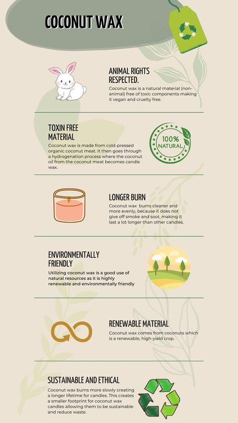 green and tan infographic about the benefits of using coconut wax candles Why Soy Wax Candles, Coconut Apricot Wax Candle, Coconut Soy Wax Candles Diy, Coconut Wax Candles Diy, Coconut Candles Diy, Coconut Soy Wax Candles, Wax Candles, Coconut Candles, Lotion Candle Recipe