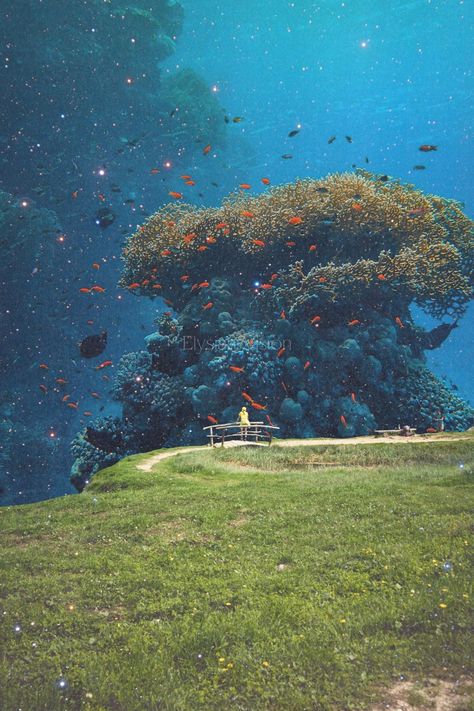 Lost in a sea of dreams digital collage artwork by Elysian Vision. Dreamy Surreal Aesthetic, Underwater Surrealism, Dreamscape Collage, Surrealism Wallpaper, Colorful Surrealism, Retro Surrealism, Dreams Artwork, Aesthetic Fish, Fish Colorful