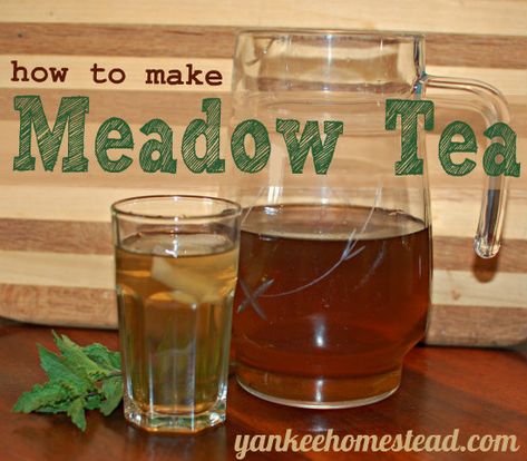 Where I grew up, Meadow Tea is about as common in summertime as ice cream, swimming pools and running barefoot through the grass. It’s simple to make, if you’ve got access to a large patch of mint. And if you know anything about growing the stuff, you’ll know that any patch of mint is a large one. Mint […] Meadow Tea Recipe, Dutch Dishes, Tea Mocktail, Meadow Tea, Flavored Teas, Beverages Recipes, Berry Breakfast, Power Smoothie, Health Drinks