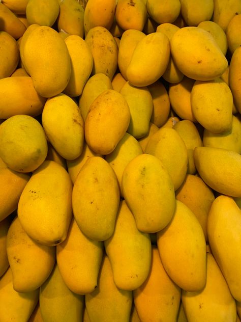 Mango Pic, Mango Trees, Bernard Arnault, Mango Fruit, Fruit Tree, Fruit Trees, Dhl Express, Future House, Food Photography