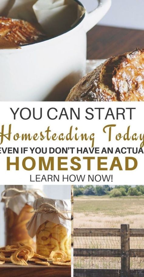 Click now to learn how you can start homesteading TODAY even if you don't have an actual homestead! You don't need a dairy cow and ALL the chickens to be a homesteader; its a mindset! | homesteading for beginners | homesteading ideas | homesteading diy | homesteading ideas self sufficient | homesteading ideas step by step | #homesteading #homesteadingforbeginners #homesteadingtips #homestead Essen, Start Homesteading, Homesteading For Beginners, Homestead Inspiration, Self Sufficient Homestead, Modern Homesteading, Homesteading Ideas, Homesteading Diy, Homestead Farm