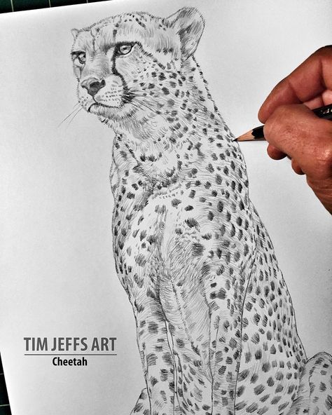 Cheetah Sketch, Animal Drawing Tutorial, Cheetah Drawing, Ink Animals, Realistic Animal Drawings, Intricate Art, First Drawing, Animal Drawing, Charcoal Art