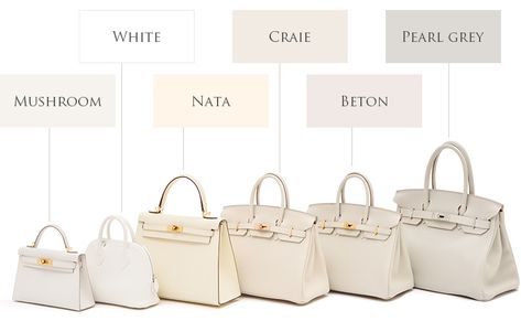 From left: Mushroom (2022AW new color) / White / Nata / Craie / Beton / Pearl grey Hermes Bag Collection, White Handbag Outfit, Hermes Birkin Colours, Hermes Colors, White Birkin, Hermes Wishlist, Birken Bag, Bag Wishlist, Hermes Bolide