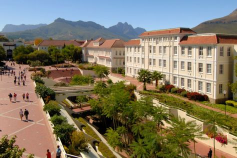 New university rankings for South Africa Stellenbosch University, Long Walk To Freedom, African Museum, University Of South Africa, Uni Vibes, Stellenbosch South Africa, Uni Aesthetic, South African History, Student Portal