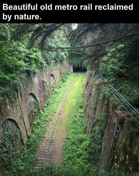 Beautiful Metro Rain Reclaimed By Nature photography beautiful nature Reclaimed By Nature, Metro Rail, Apocalypse Aesthetic, Abandoned Train, Old Train, Train Tracks, Abandoned Buildings, Abandoned Places, Nature Pictures