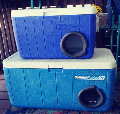 Cat Shelters For Winter, Insulated Cat House, Outside Cat House, Beach Shelter, Outdoor Cat Shelter, Feral Cat Shelter, Feral Cat House, Diy Cooler, Stray Animals