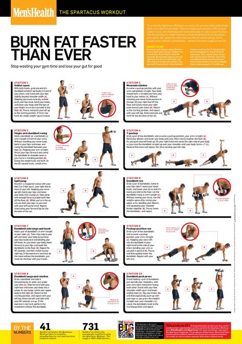 The Spartacus Workout! yes it's from men's health but this is a great workout for women too. Burns an average of 731 calories in 41 minutes; and all you need is a dumbbell. Fitness Before After, Spartacus Workout, Workout Fat Burning, Hardcore Workout, Fitness Apps, Ab Workout At Home, Workout Plans, An Exercise, Burn Fat Faster