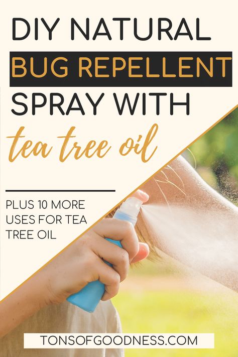 Store-bought bug and mosquito sprays contain ingredients that are harmful to your health. This spray is all natural and made with essential oils. This article includes 10 more uses for tea tree oil! Tea Tree Oil Uses Insect Repellent Natural Bug Spray, Essential Oil Bug Spray For Home, Tea Tree Oil Spray, Diy Tea Tree Oil, Homemade Mosquito Spray, Homemade Tick Repellent, Mosquito Repellent Essential Oils, Tee Tree Oil, Repellent Diy