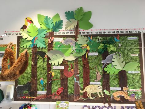 Rainforest jungle display. KS2 art. Jungle Fever. Rainforest Poster Board Project, Rainforest Art Activities, Rainforest Art Ks2, Rainforest Display Classroom, Rainforest Display Ks2, Rainforest Art For Kids, Rainforest Display, Rainforest Classroom, Rainforest Crafts