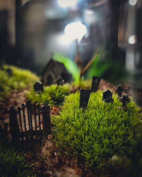 Learn how to make a graveyard mossarium with realistic Halloween terrarium decor and a few other simple materials. Mini Graveyard Terrarium, Diy Mini Graveyard Halloween, Cemetery Terrarium Graveyards, Diy Cemeterium, Goth Terrarium Ideas, Cemetarium Moss Terrarium, Halloween Plants Decor, Diy Mini Graveyard, Cemetary Terrarium Diy