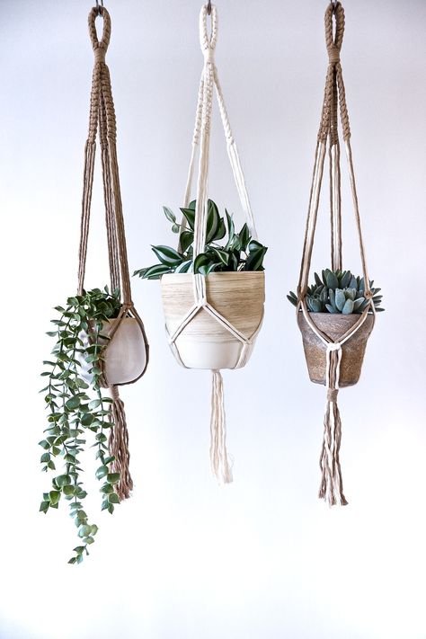 The Minimal Collection adds modern design and add texture to any indoor room without compromising on space. Indoor Oasis, Macrame Plant Hanger Patterns, Boho Scandinavian, Sustainable Decor, Trailing Plants, Macrame Wall Art, Macrame Hanging, Macrame Plant Hangers, Plant Hangers