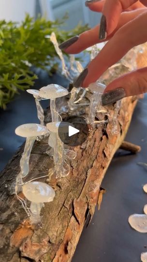 Sellable Art Ideas, Mushroom Diy Crafts, Darrin Jones, Cottagecore Crafts, Sellable Crafts, Lit Songs, Mushroom Crafts, Mushroom Lights, Mushroom Fairy