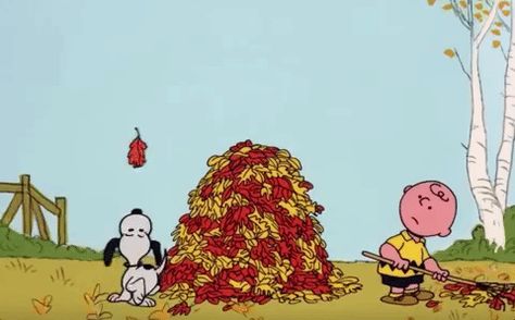 via GIPHY Snoopy Fall Gif, Anime Autumn Gif, Spooky Snoopy, Autumn Snoopy, Snoopy Autumn, Fall Gif, Adventurecore Aesthetic, Wallpapers Mac, Fall Snoopy