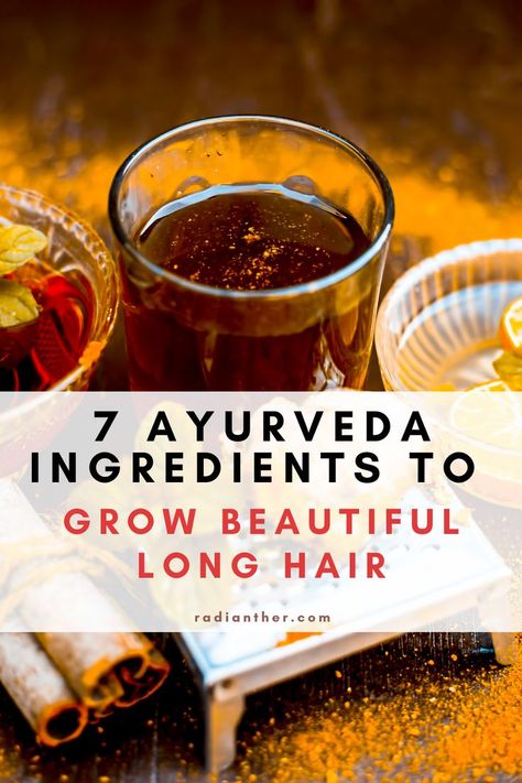 Ayurvedic Shampoo Recipes, Ayurveda For Hair Growth, Ayurveda Hair Growth, Ayurvedic Recipes For Hair Growth, Ayurvedic Herbs For Hair Growth, Ayurvedic Recipes For Hair, Fast Bun Hairstyles, Remedy For Dry Hair, Hair Herbs