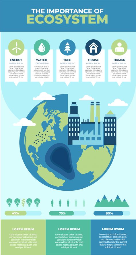 Sustainability Infographic, Info Poster, Environmental Problems, Infographic Inspiration, Environmental Engineering, Graphic Design Infographic, Infographic Poster, Environmental Problem, Infographic Design Inspiration