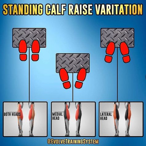 It’s all about the variations! Credit @evolvetrainingsystem Follow @muscle.matics  Different angles, different stimulus, keep it fun and… Best Calf Exercises, Standing Calf Raise, Leg Workouts Gym, Calf Exercises, Trening Sztuk Walki, Gym Antrenmanları, Muscle Abdominal, Gym Workout Chart, Leg Day Workouts