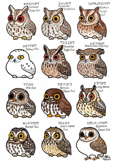 Eurasian Eagle Owl, Owl Wings, Cartoon Owl, Owl Illustration, Owls Drawing, Pottery Painting Designs, Cute Fantasy Creatures, Great Horned Owl, Like Animals