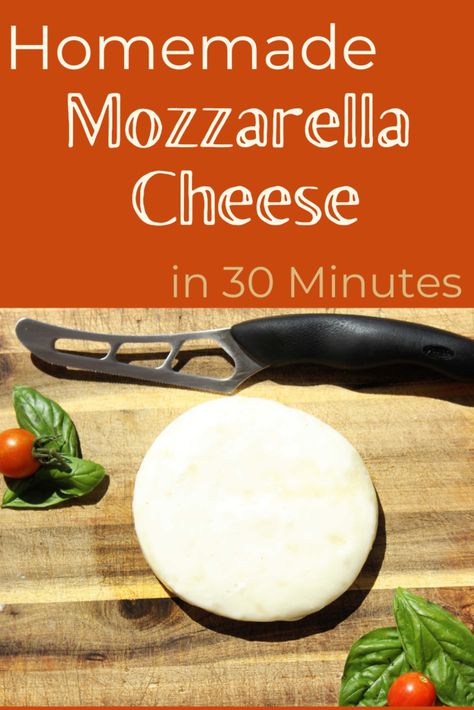 round mozzarella cheese on a cutting board with tomatoes and basil The Ranchers Homestead, Easy Homemade Mozzarella, Homemade Cheese Sticks, Make Mozzarella Cheese, Homemade Mozzarella Cheese, Recipes With Mozzarella Cheese, Cheese Recipes Homemade, Homemade Cheese Crackers, Homemade Mozzarella