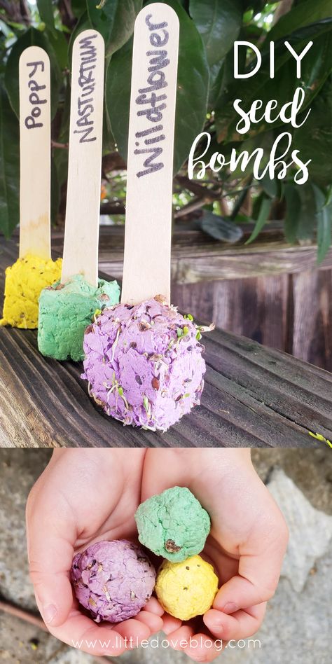 diy seed bomb pops for earth day - Little Dove Blog Planting Seed Activity For Kids, Plant A Flower Day Activities, Spring Party Crafts For Kids, Diy Seed Balls, Diy Flower Seed Paper, Earth Day Seed Bomb Printable, Spring Garden Crafts For Kids, First Day Of Spring Activities For Kids, Kids Seed Planting Activity