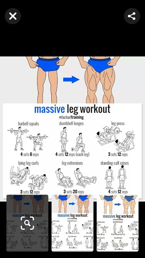 Mussel Building Workout, Mad Muscles Workout, Lying Leg Curls, Standing Calf Raise, Dumbbell Squat, Reps And Sets, Gym Workout Planner, Squats And Lunges, Barbell Workout