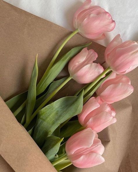 Bloomed Tulips, Aesthetic Spring, Nothing But Flowers, Flower Therapy, Pink Tulips, Tulips Flowers, Brown Paper, Flowers Nature, Flower Pictures