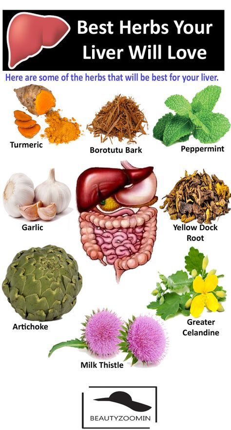 Flush Out Toxins, Liver Diet, Eating Tips, Herbs For Health, Liver Detox, Healthy Liver, Milk Thistle, The Liver, Liver Health