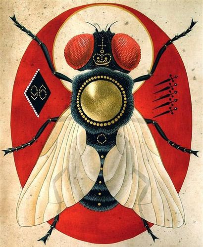 shoo fly Illustrations Posters, Vintage Posters, Bug Art, Illustration Photo, Tableau Art, Insect Art, A Bug, Vintage Illustration, A Book