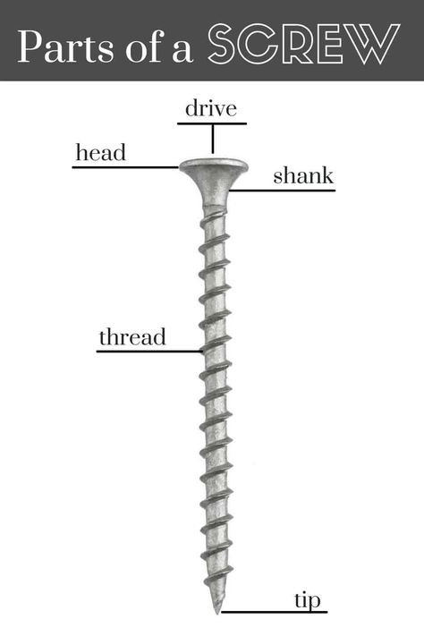 Before we get into the specifics of the different types of screws, it’s important to understand the basics of every kind of screw. #screws #types #DIY Types Of Screws, Pocket Hole Joinery, Screw Drivers, Wood Craft Projects, Drywall Screws, Wood Plugs, Pocket Hole Screws, Metal Working Projects, Wood Screws