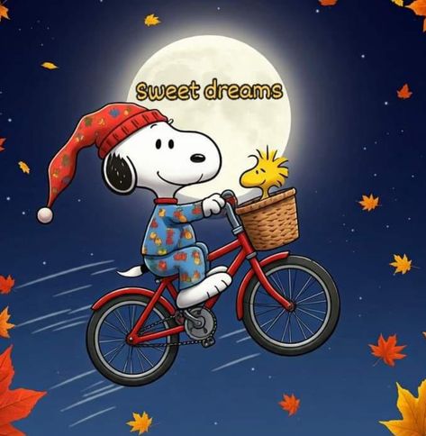 Grandma Texts, Good Night Snoopy, Happy Snoopy, Snoopy Images, Snoopy Quotes, Snoopy Pictures, Snoopy Friends, Classic Cartoon Characters, Friendship Day Quotes