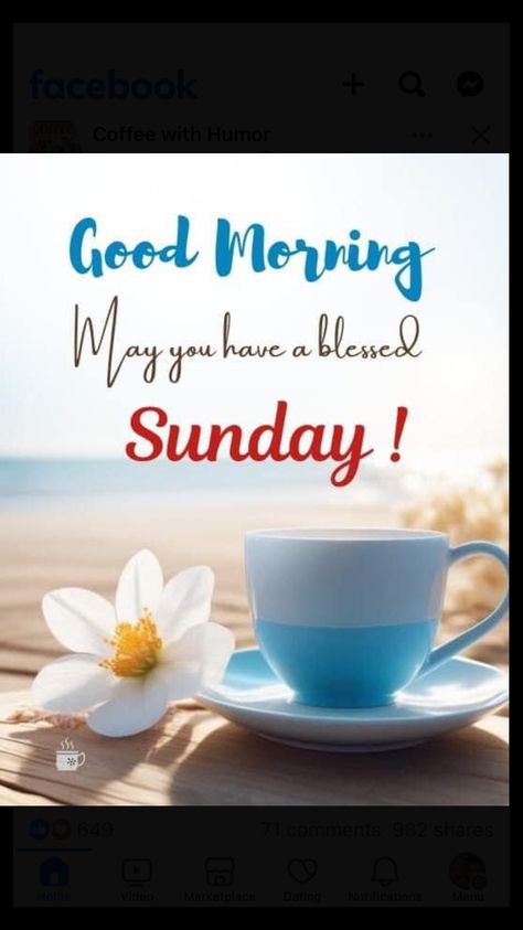 Happy Sunday Wishes, Good Morning Family Quotes, Sunday Morning Wishes, Happy Sunday Images, Happy Sunday Morning, Have A Blessed Sunday, Good Morning Msg, Sunday Wishes, Beautiful Good Night Quotes