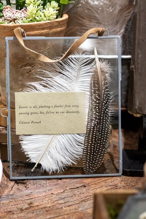 Each set includes the following: 1. Lady Amherst's pheasant feather 2. Turkey feather 3. Guineafowl feather 4. Peacock feather 5. Ostrich feather 6. Chicken feather Feather Collection Display, Feather Display Ideas, Chicken Feather Crafts, Turkey Feather Decor, Feather Display, Feather Peacock, Wall Framing, Antler Decor, Eyewear Display